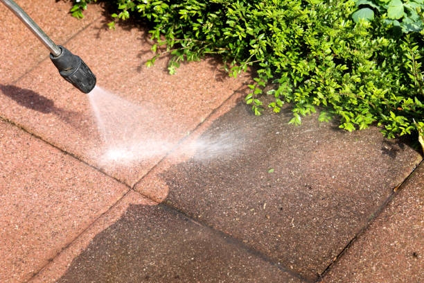 Best Roof Pressure Washing  in Aberdeen, IN